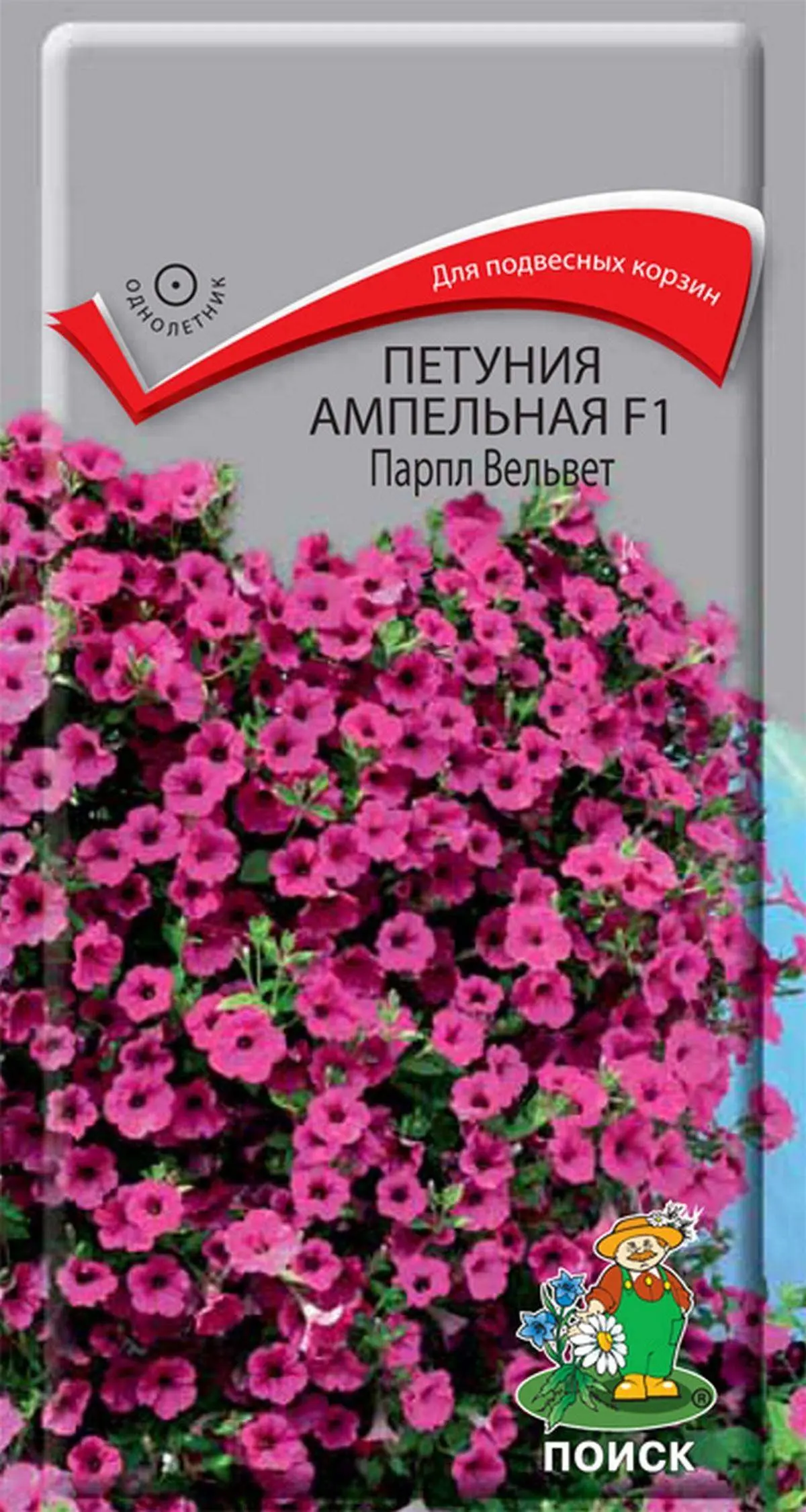 вельвет purple петуния ампельная. петуния парпл вельвет f1. петуния салмон вельвет. сурфиния f1 парпл вельвет. петуния вельвет f1 ампельная.