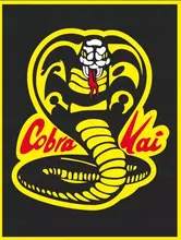 Cobra Kai-pulsera de cuero para seguidores, brazalete de cuero para amantes de la Opera americana