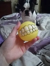 Puppy-Toys Dog-Toy Pet-Supplies Rubber Funny Tooth Soft 1pc Pawstrip Diameter-7cm Colorful-Ball