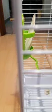 Alimentador de loro con estante de pie soporte para vegetales, contenedor de plástico colgante para comida, accesorios para mascotas, suministros para pájaros