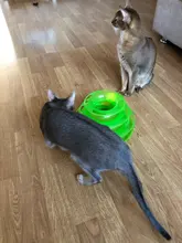Three-Levels Tower-Tracks-Disc Ball Cat-Toys Interactive-Training-Amusement-Plate Cat-Intelligence