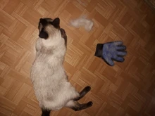 Grooming-Glove Pet-Hair Deshedding-Brush Cat Cleaning Wool Animal 