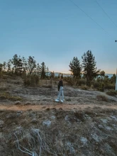 HEYounGIRL-Pantalones elegantes con estampado de cebra para mujer, de cintura alta Capris Harajuku, pantalones de señora informales para oficina, ropa de calle 2021