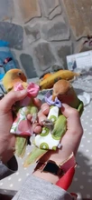 Pañales de loro con pajarita, bonitos y coloridos, fruta Floral, Cockatiel, palomas, mascota mediana grande pequeña, traje de vuelo, lavable