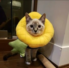 Gato-Collar de algodón con forma de aguacate para perros, cuello circular ajustable, protector para el cuello, con cono de recuperación para heridas