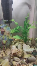 Aquarium-Accessories Decoration Materials Fish-Tank Artificial Green 20cm PVC Plants