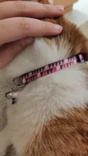 Cat-Collar Necklace Breakaway Cats Safety Quick-Release Personalized Bell Nameplate Engraved