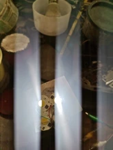 Bulb-Lamp Spotlight No-Need-Driver Cob-Chip Smart 220V LED 10W 3W 9W 20W 7W 50W IC 