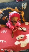 Ropa con estampado de dibujos animados para perro, abrigo cálido para invierno, chaqueta para perros pequeños, Chihuahua, Bulldog Francés, disfraz de peluche, ropa para mascotas