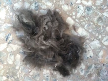 Dog-Hair-Trimmer Pet-Grooming-Product Electrical-Clipper Household Rechargeable Hot 