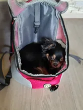 Al aire libre viajes de mascotas de doble bolsa de hombro portátil de viaje mochila al aire libre bolsa de transporte perro mascota frente perro bolsa de malla de mochila de la cabeza