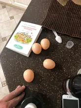 5pcs Plastic Fake Chicken Egg Simulation Poultry Layer Coop Hatching