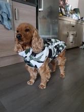 Dog Coat Dog-Jacket Labrador Reflective Large Breed Chihuahua Waterproof Winter Overalls