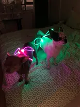 Alta calidad 1 Uds Multi-color LED Collar de perro ajustable mascota de seguridad nocturna Collar luminoso luz perro brillante Collar Correa