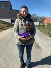 Bag Carrier Handbag Tote-Pouch Sling Puppy Pet-Dog-Cat-Sling Travel-Safe Outdoor Kitten