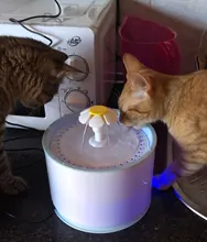 Fuente de agua para perros o gatos, dispensador eléctrico-automático, silencioso, y con luz LED, alimentador USB, capacidad 2,4 L