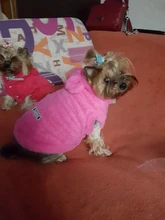 Ropa de Gato caliente para mascotas, abrigo, chaqueta para perros pequeños, medianos, gatos, Chihuahua, ropa de Yorkshire, disfraz rosa, S-2XL