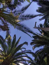 Pendientes de aro de Plata de Ley 925 para mujer, con hebilla de hueso del oído, redondos, aros, anillos aretes, joyería