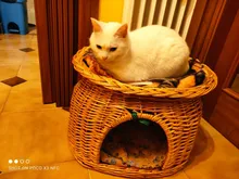 Mattress Pet-Blanket Dog-Bed-Cover Pet-Sofa-Cushion Bulldog Small-Dogs Warm Chihuahua