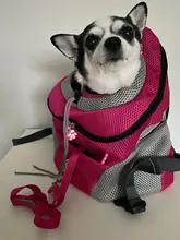 Al aire libre viajes de mascotas de doble bolsa de hombro portátil de viaje mochila al aire libre bolsa de transporte perro mascota frente perro bolsa de malla de mochila de la cabeza