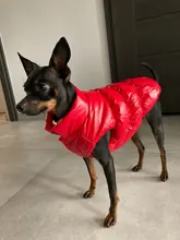 Ropa cálida de lana para perro, chaleco interior para mascota Bulldog, traje para cachorro, chaquetas para perro a prueba de viento, ropa de 8 colores para perros medianos y grandes