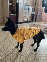 Warm Dog Sweatshirt Puppy-Clothes Dog-Costume Soft-Fleece Chihuahua Winter Yorkshire