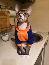 De moda disfraz mascota gato verano gato chaleco con capucha acogedor Mascoats Goto, ropa para gatos, Katten abrigo Kedi sudadera ropa traje