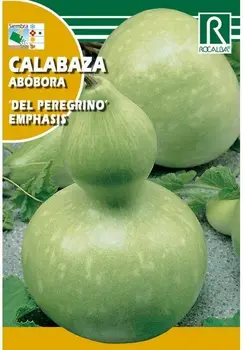 

Pumpkin EMPHASIS "DEL PEREGRINO"