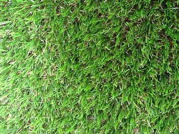 

ARTIFICIAL turf ZURICH PRO 30mm 4x2m