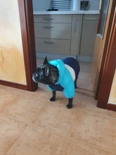 Outfit Jacket Hoodie Dog Warm Waterproof Winter Coat Splice Pet-Puppy 6-Colours 8-Sizes