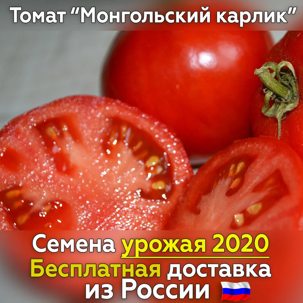 Купить Семена Томатов Монгольский