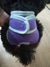 Pet-Physiological-Pants Underwear Diapers Dog Washable Female Short Puppy for Small Doggie