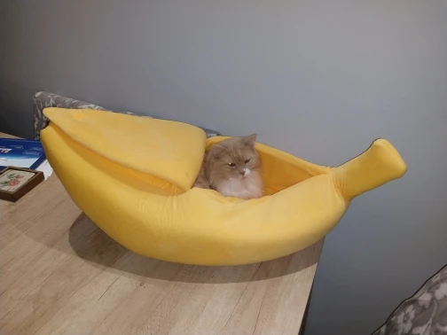 The Banana Dog Bed | Cute Dog Beds | Cute Puppy Beds photo review