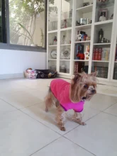 Coat-Jackets Fleece Vest Pug-Costumes Dogs French-Bulldog Chihuahua Winter Small Medium