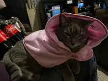 Pet-Dog-Cat-Towel Bathrobes Blanket Puppy Pets-Drying Super-Absorbent Cute with Hoodies