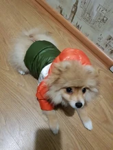 Outfit Jacket Hoodie Dog Warm Waterproof Winter Coat Splice Pet-Puppy 6-Colours 8-Sizes