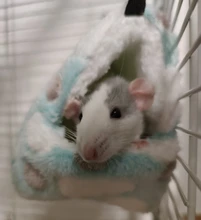 Hammock House Nest Hamster Pet-Bird Hanging Parrot Warm Small Cute Comfortable Plush