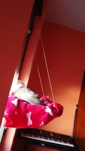 Cama que cuelga de la ventana para mascotas, 20kg, hamaca para gato y mascota, asiento tipo estante