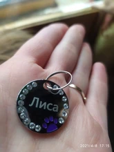 Etiqueta de identificación personalizada para perros y gatos, accesorios de identificación para perros y gatos