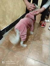 Coat Jumpsuit Clothing Puppy-Fleece Hoodie Apparel Pet-Dog Winter New Warm Velvet