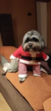 Costume Cat Jacket Christmas Dogs Small Santa-Claus Winter Large for Funny Dog-Coat Warm