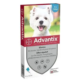 

Pipettes-worming ADVANTIX 6: for small dogs from 4 to 10 kg