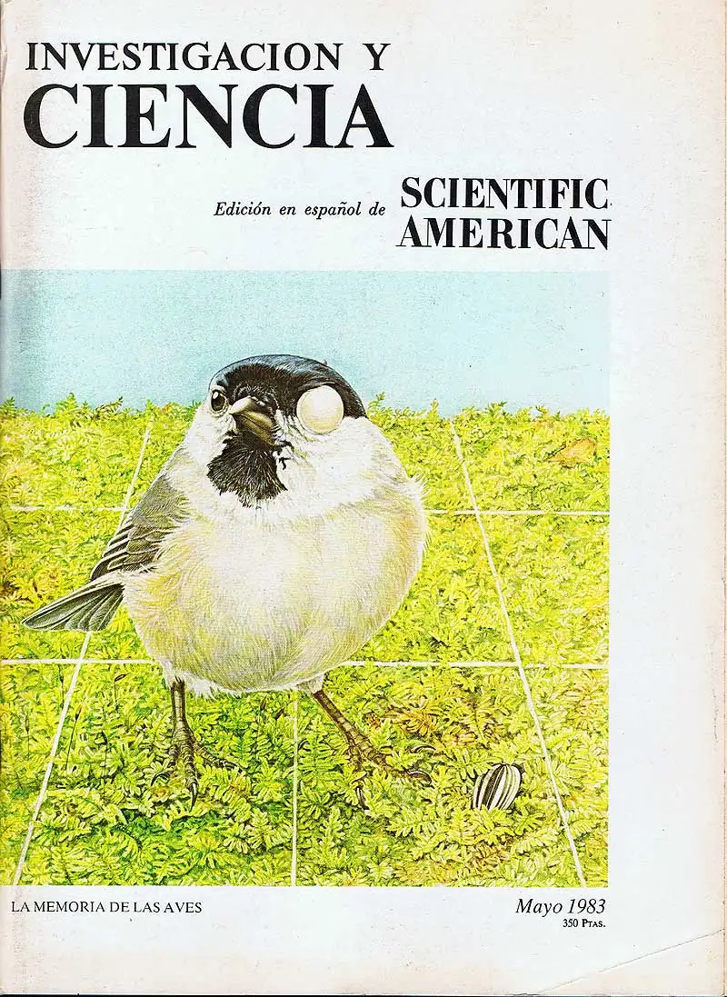 Журнал Science and Research N ° 80. Май 2003 года. Память о птицах | Канцтовары для офиса и дома
