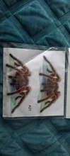 Decal Sticker Scorpions Motorcycle-Cover Scratches-Decor Spider-Gecko Animals Vinyl Wall
