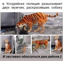 Wobbler Swimbait Floating-Minnow Fishing Lures Artificial-Bait Crankbaits-Bass-Tackle