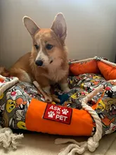 Thicken Dog Kennel Pet Bed For Dogs Cat House Dog Beds For Large Dogs Pets Products For