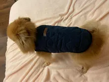 Dog Winter Bulldog-Coat Chihuahu Small French Outfit Puppy Medium Warm 