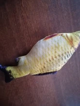 Cheap Pet Products Fish Toy Cat Scratch Board Scratching Post Catnip toys for Cat Pet