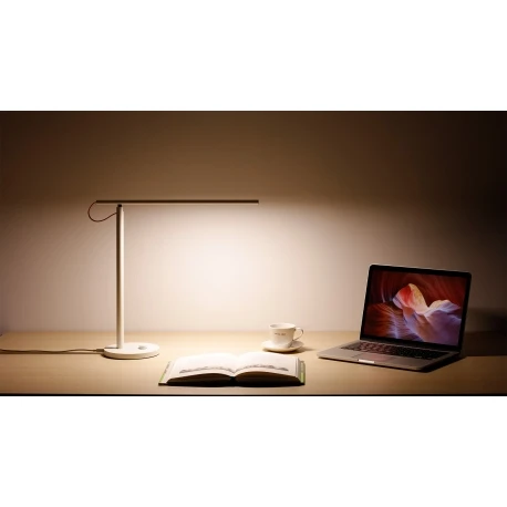 xiaomi mue4066gl
