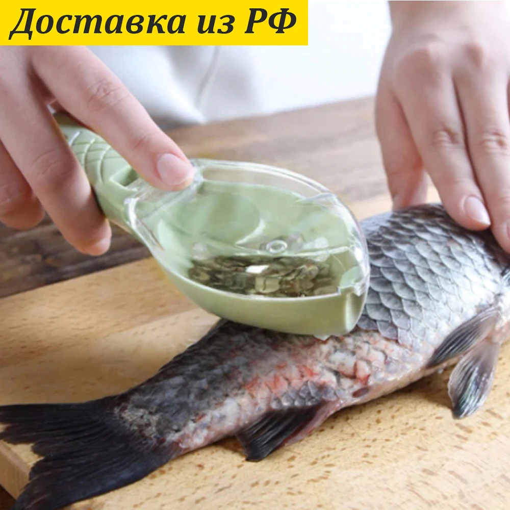Fish cleaning scales with container fish brush removal scales cleaning